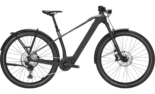 BULLS SONIC SX DAKAR - 29 Zoll 400Wh 12K Diamant - monza grey / UD carbon