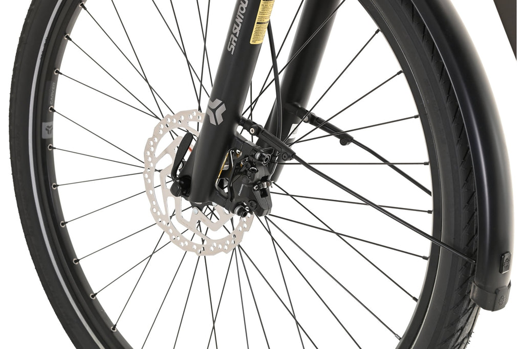 Carver Route E.530 - 625 Wh - 28 Zoll - Diamant - 2025