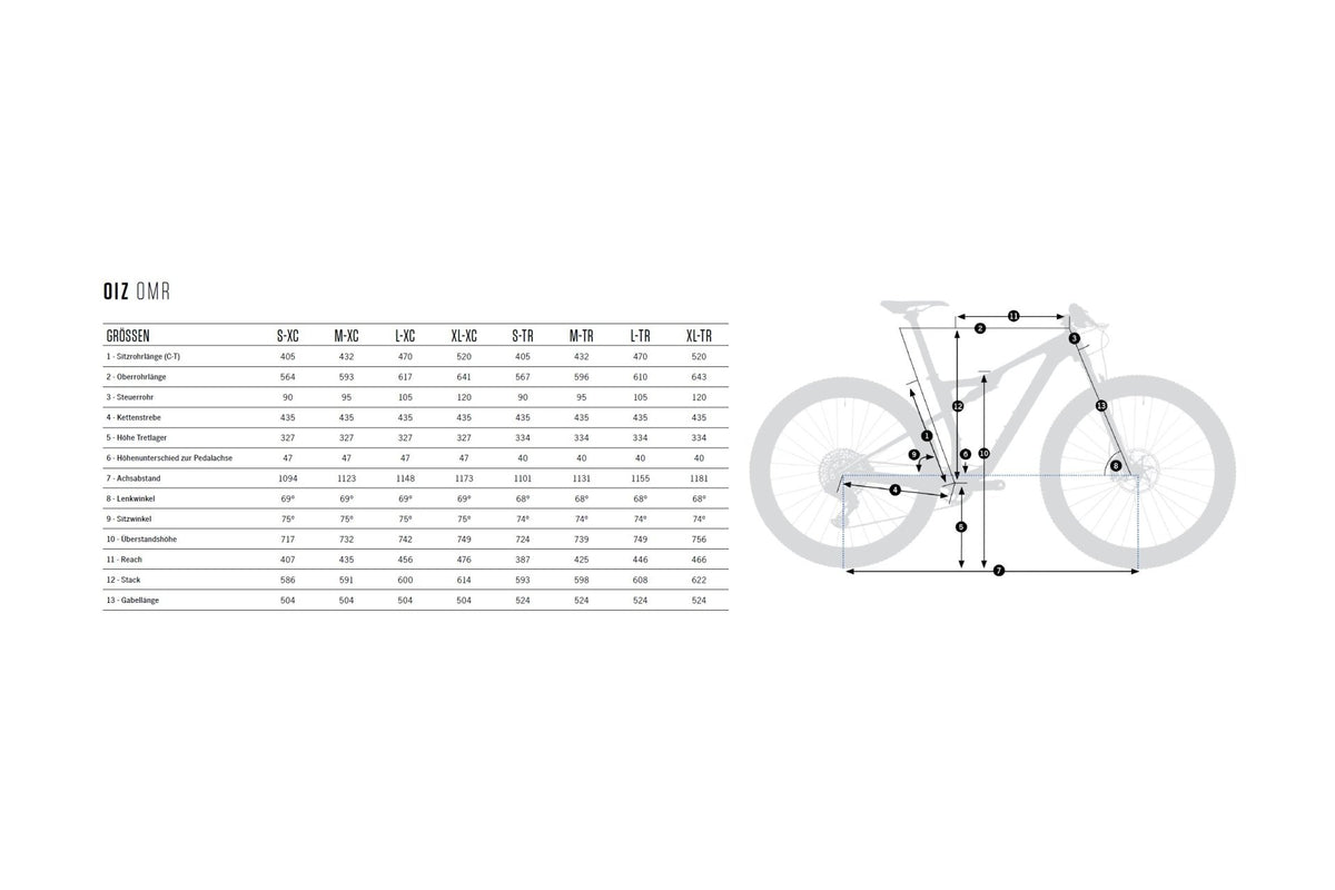 Orbea Oiz H30 - 29 Zoll - Fully - Aktion