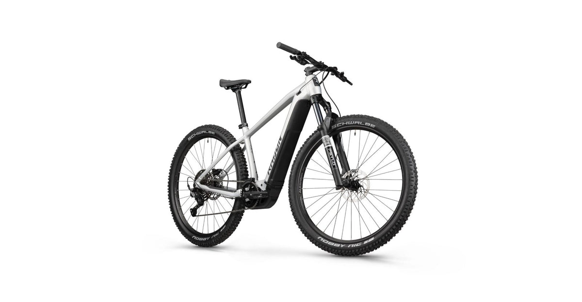 Radon JEALOUS HYBRID 8.0 750