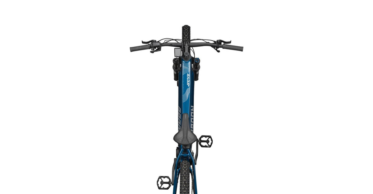 Radon JEALOUS HYBRID 9.0 750