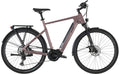Carver Route E.540 - 625 Wh - 28 Zoll - Diamant - 2025