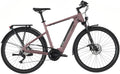 Carver Route E.510 - 500 Wh - 28 Zoll - Diamant - 2025