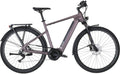 Carver Route E.520 - 625 Wh - 28 Zoll - Diamant - 2025