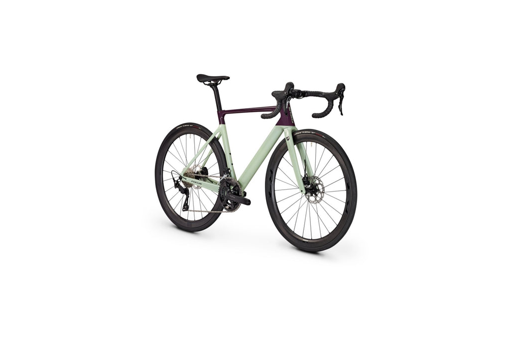 Focus Izalco Max 8.8 - 28 Zoll - Diamant - 2024