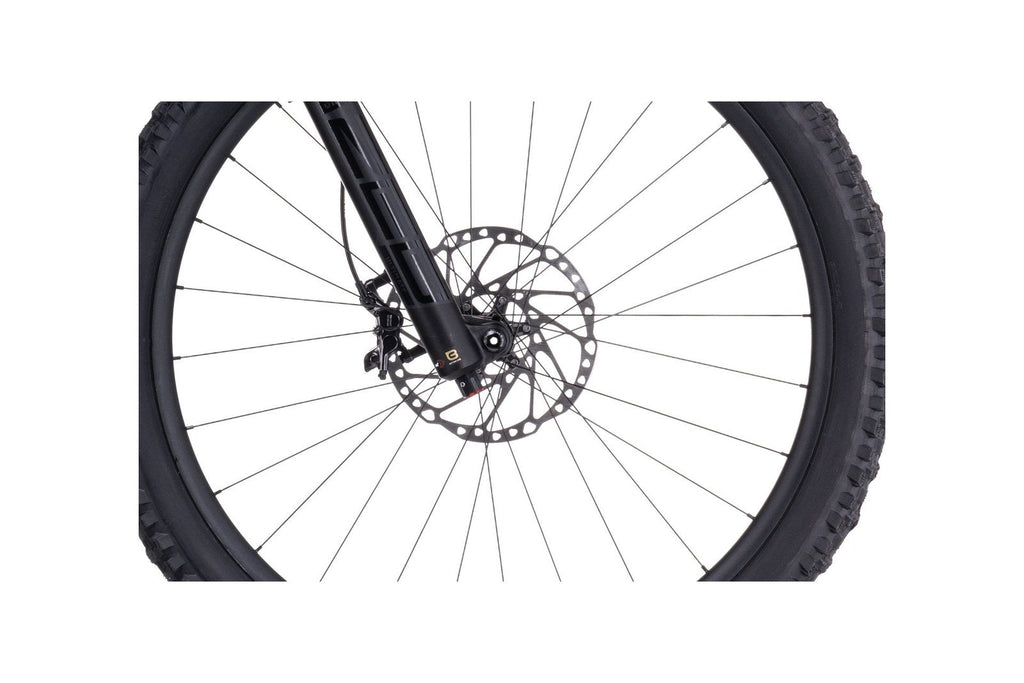 Cube Stereo ONE77 Race 29 – 29 Zoll – Fully – 2024