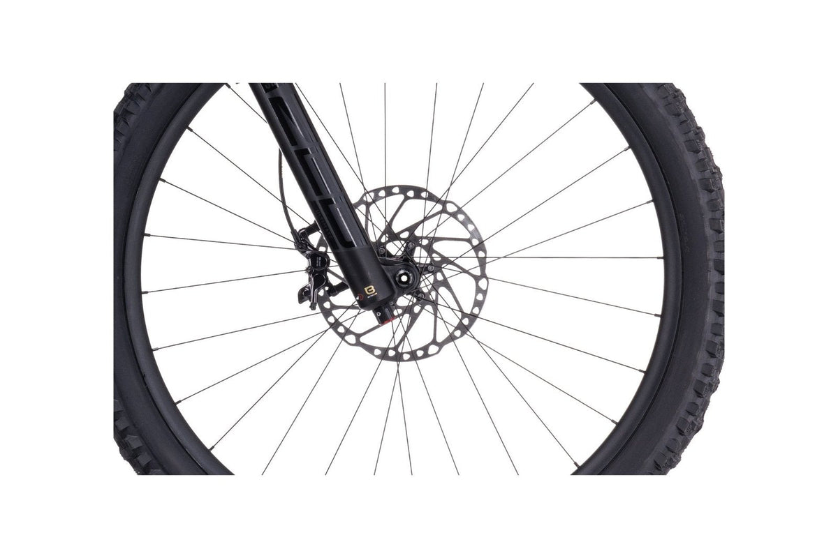 Cube Stereo ONE77 Race 29 – 29 Zoll – Fully – 2024