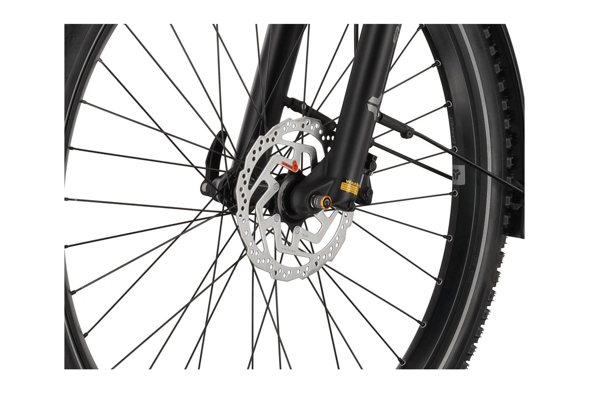 Carver SUV E.530 - 625 Wh - 27,5 Zoll - Diamant - 2025