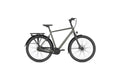 Gazelle Chamonix C8 - 28 Zoll - Diamant - 2025