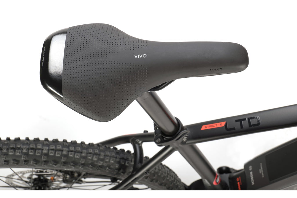 Carver Strict E LTD - 400 Wh - 29 Zoll - Diamant