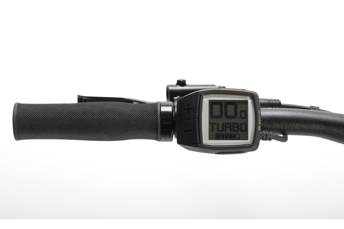 Carver Strict E LTD - 400 Wh - 29 Zoll - Diamant