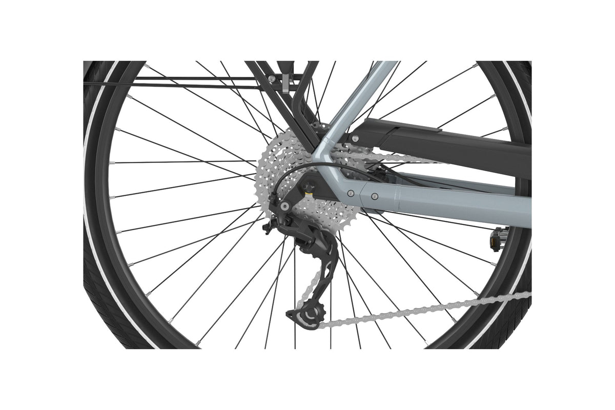 Gazelle Chamonix T10 HMS - 630 Wh - 28 Zoll - Tiefeinsteiger - 2024
