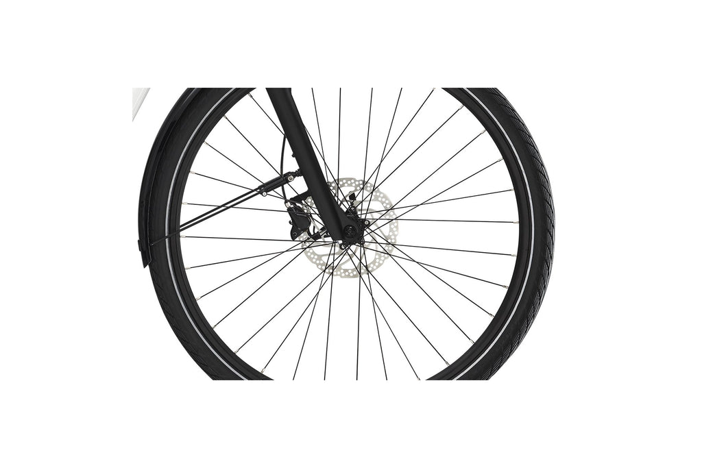 Diamant Beryll Deluxe+ - 500 Wh - 28 Zoll - Tiefeinsteiger - Aktion
