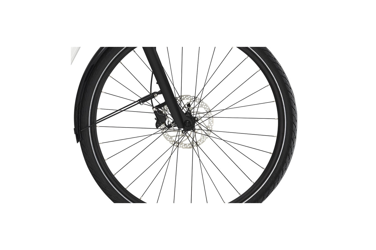 Diamant Beryll Deluxe+ - 500 Wh - 28 Zoll - Tiefeinsteiger - Aktion