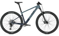 Focus Raven 8.7 - 29 Zoll - Diamant - 2025
