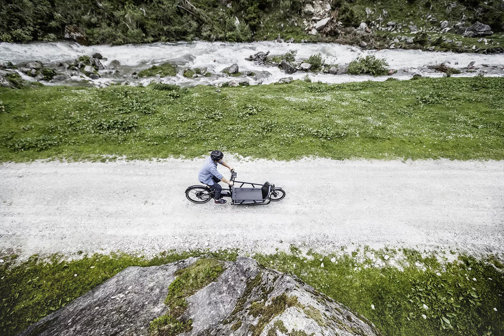 Lastenfahrrad Riese & Müller LOAD 75