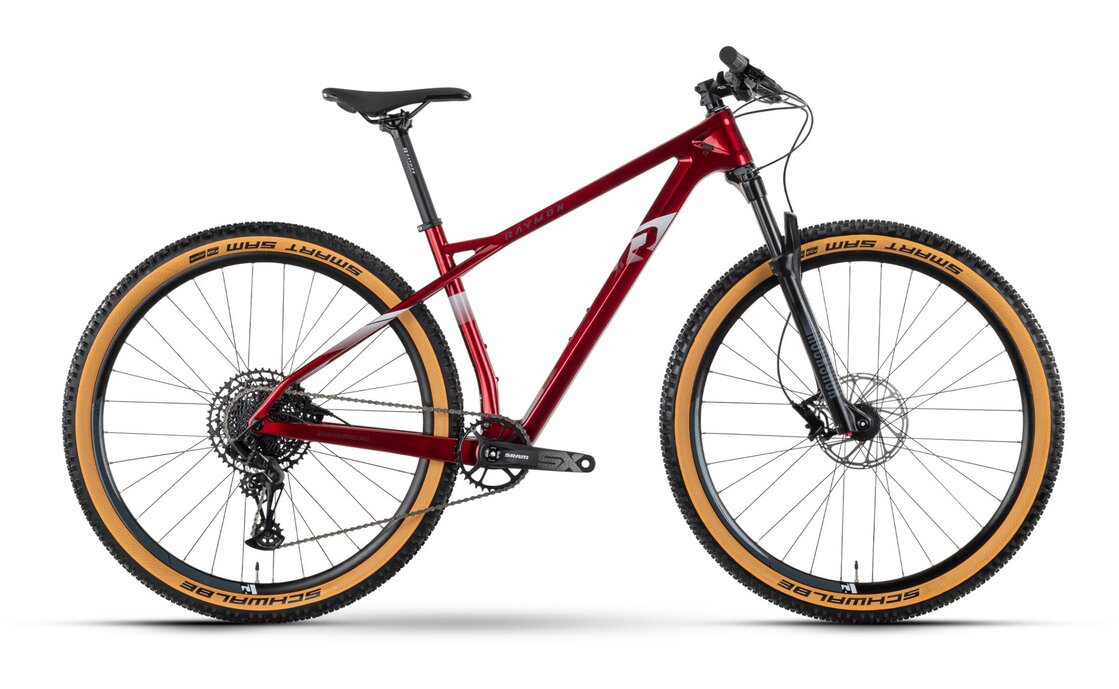Raymon HardRay 7.0 - 29 Zoll - Diamant - 2024