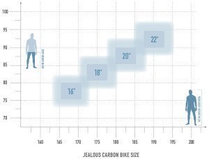 Radon JEALOUS 9.0