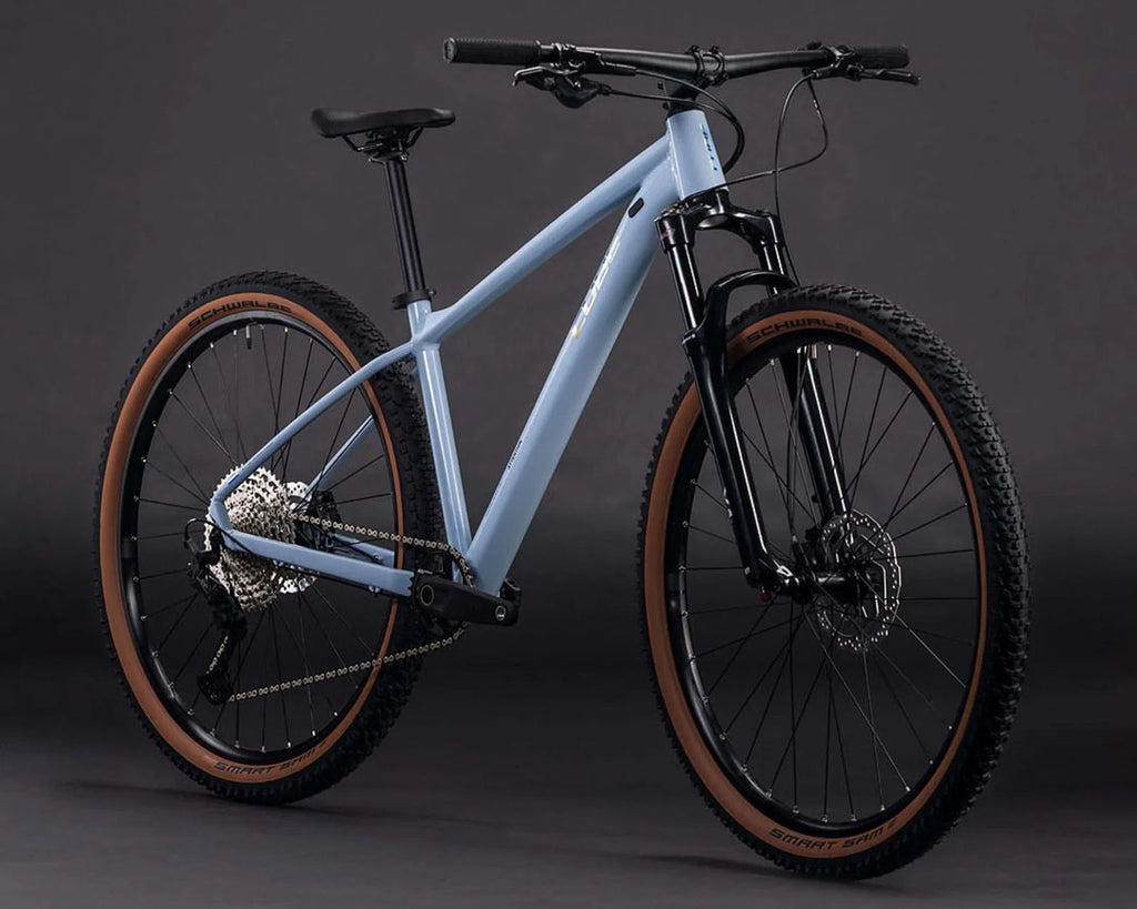 Attention Pro – MTB Hardtail 2026 | iceblue´n´prism 29" – L